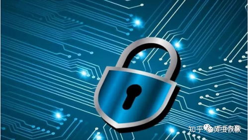 驼峰，储的不止是水 网络与信息安全软件开发的战略思考